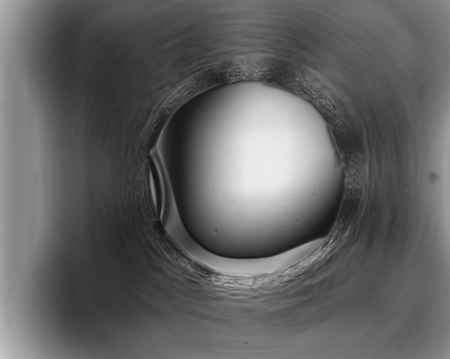 X0000096990045200802081437