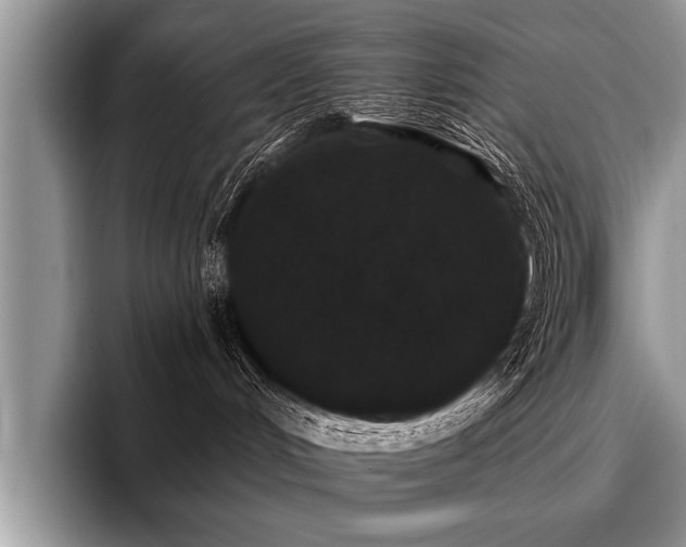 X0000096990048200802081437