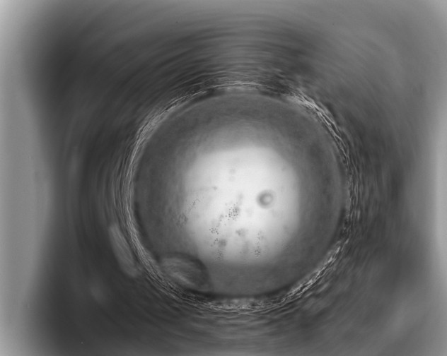 X0000096990049200802081436