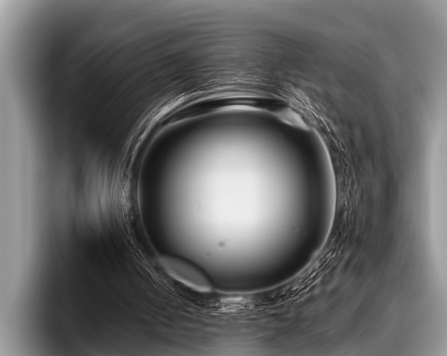 X0000096990050200802081436