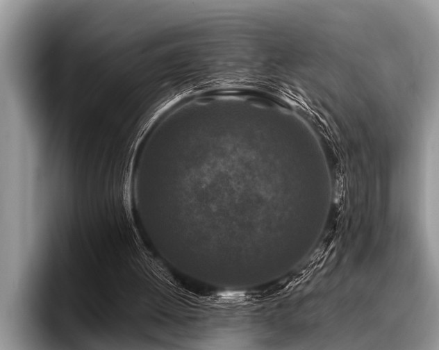 X0000096990052200802081436