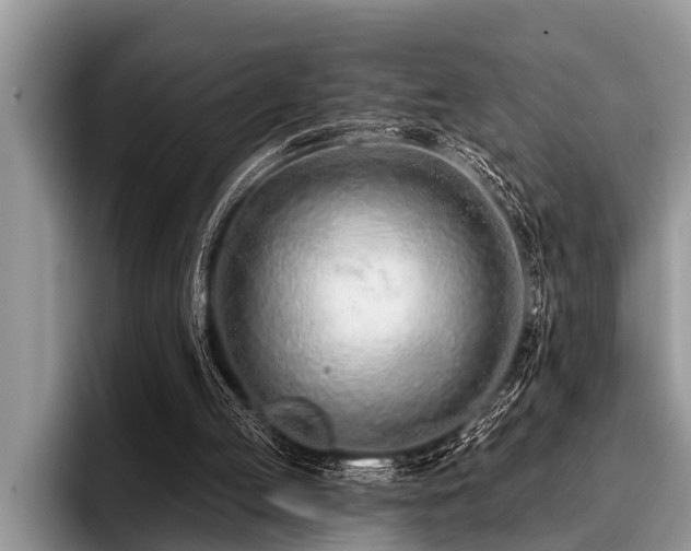 X0000096990053200802081436