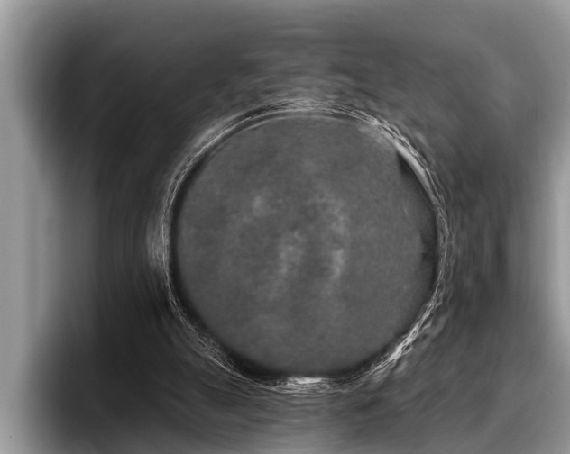 X0000096990055200802081436