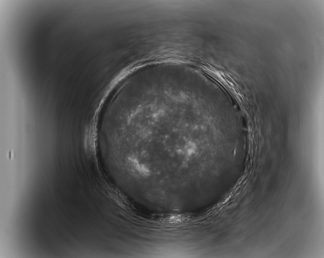 X0000096990056200802081436