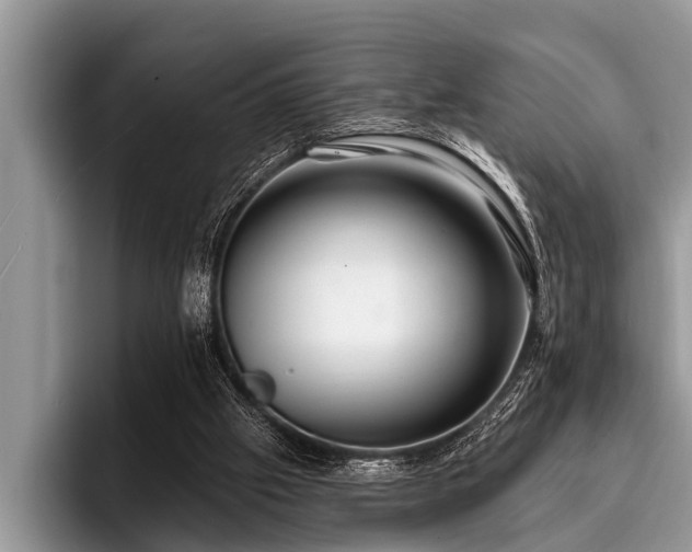 X0000096990057200802081436