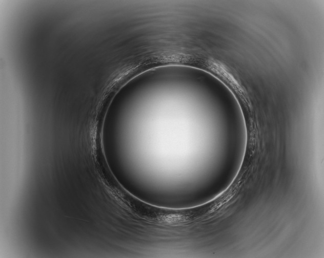 X0000096990058200802081436