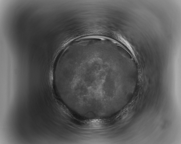 X0000096990059200802081436