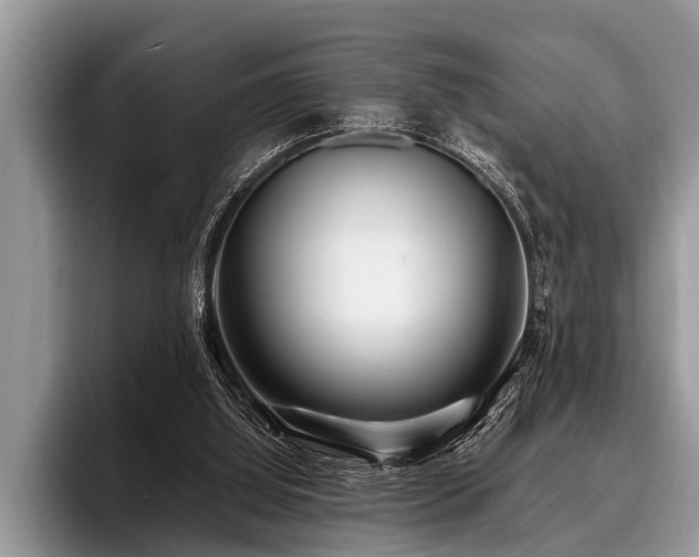 X0000096990060200802081436