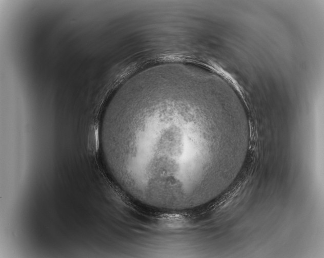 X0000096990061200802081436