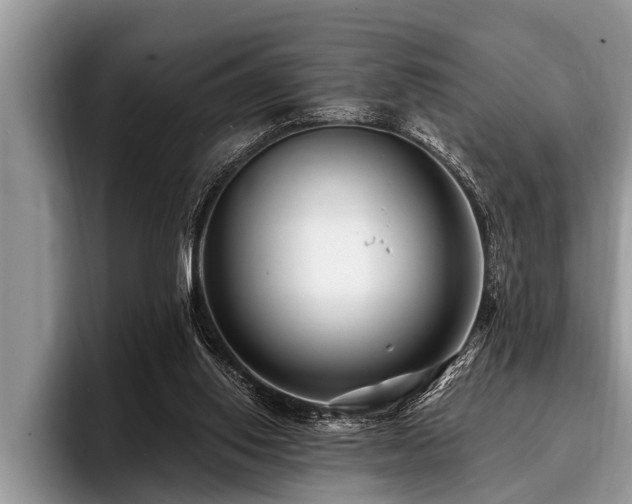 X0000096990062200802081436