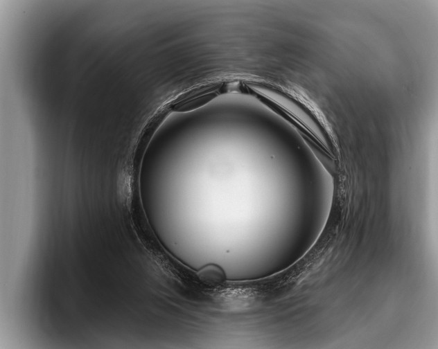 X0000096990063200802081436