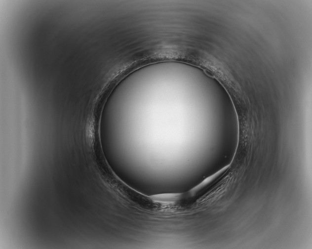 X0000096990064200802081436