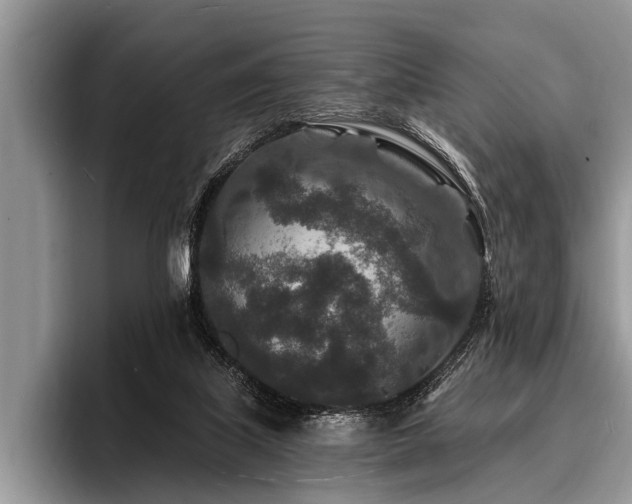 X0000096990067200802081436