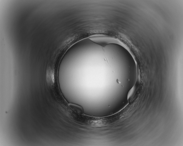 X0000096990068200802081436