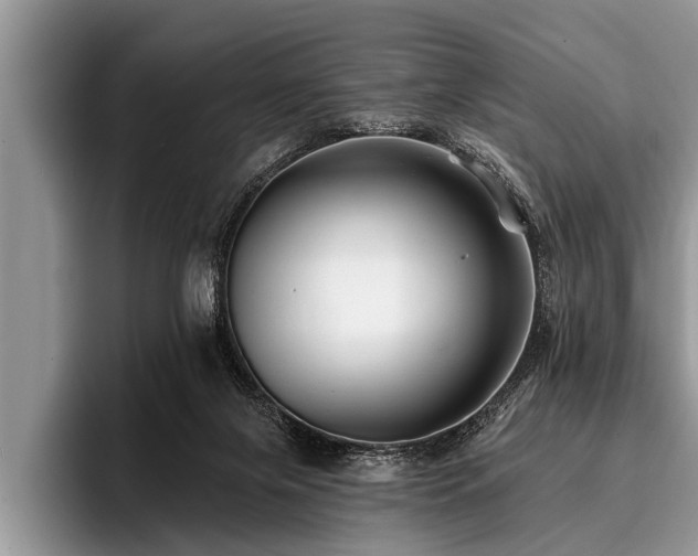 X0000096990071200802081436