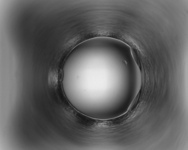 X0000096990072200802081436