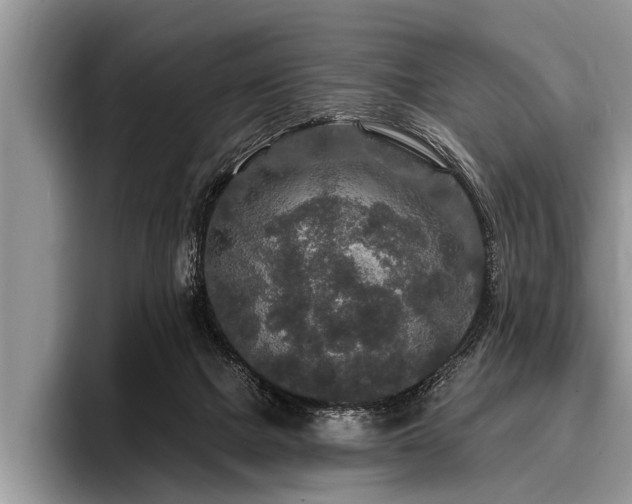 X0000096990073200802081436