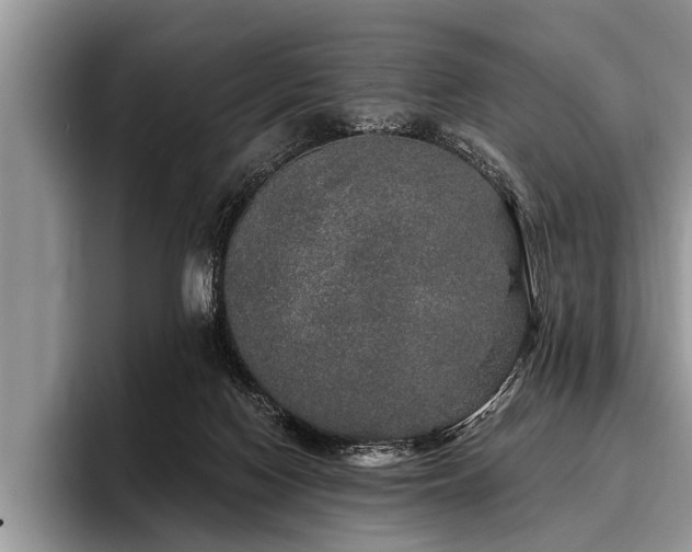 X0000096990074200802081436