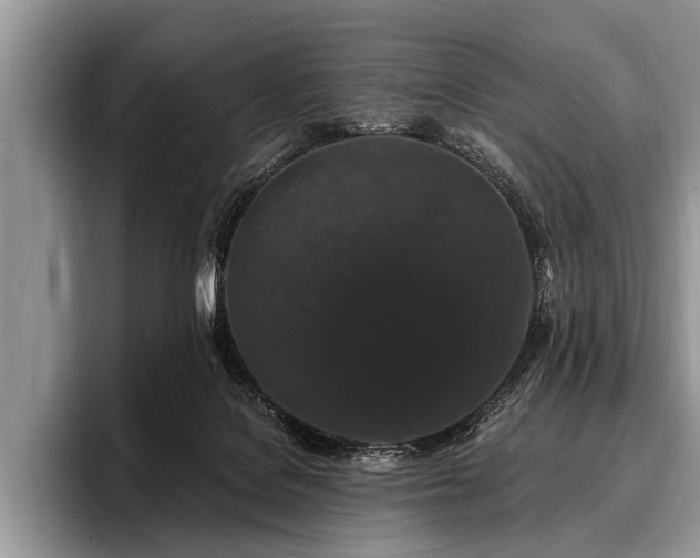 X0000096990076200802081436