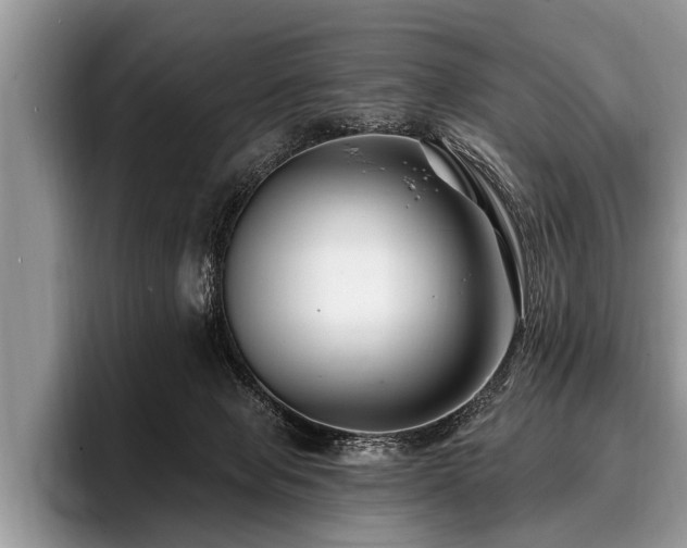 X0000096990077200802081436