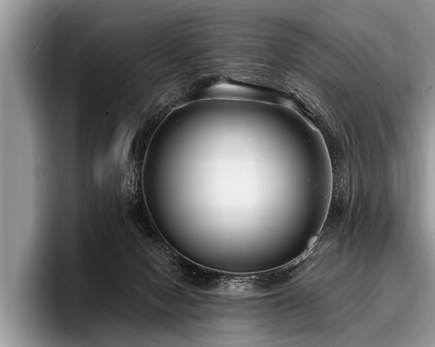 X0000096990078200802081436