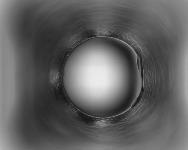 X0000096990079200802081436