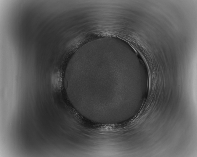 X0000096990080200802081436