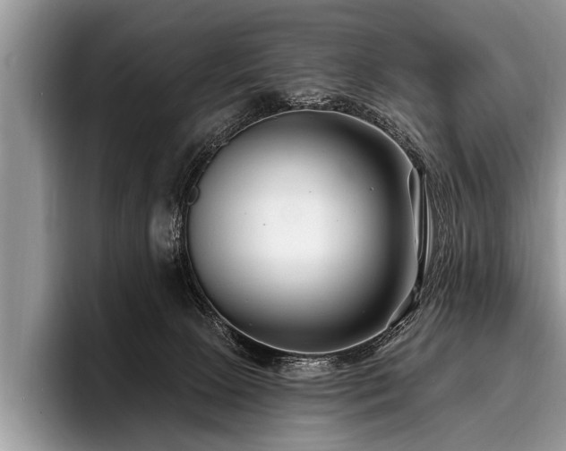X0000096990081200802081436