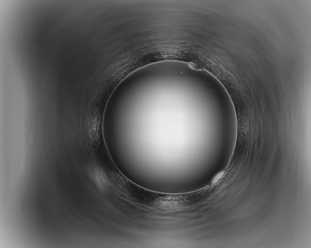 X0000096990082200802081436