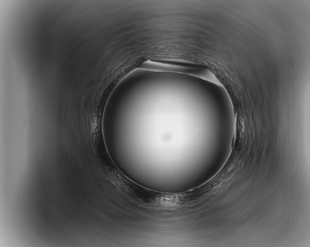 X0000096990084200802081436