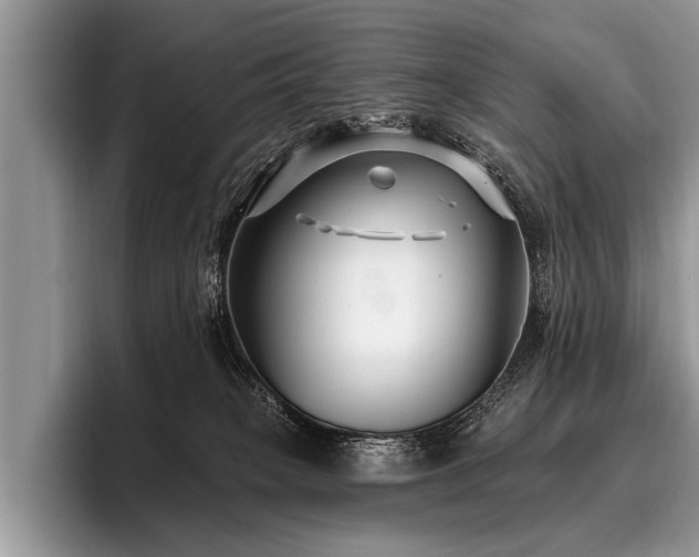 X0000096990085200802081436