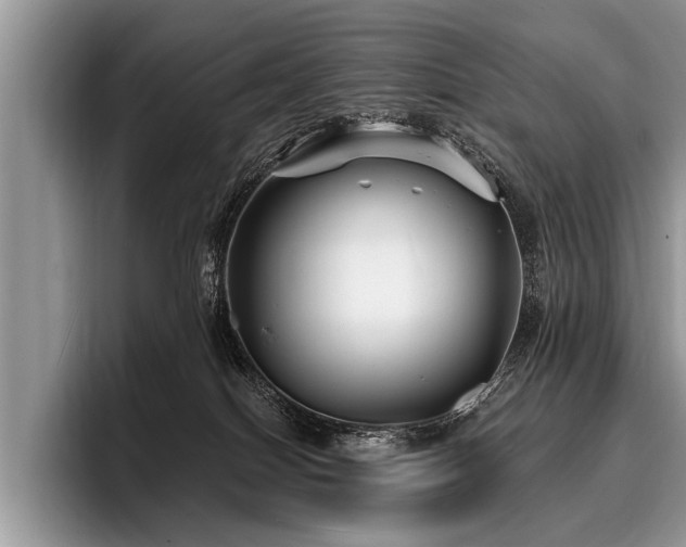 X0000096990086200802081436