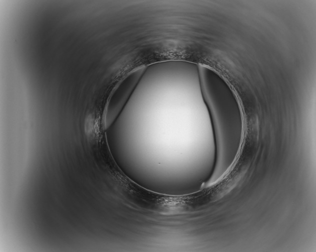 X0000096990088200802081436