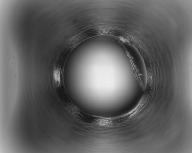 X0000096990094200802081436