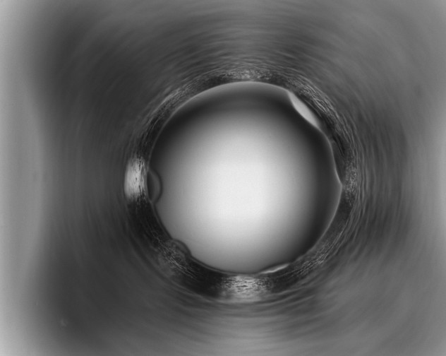 X0000096990095200802081436