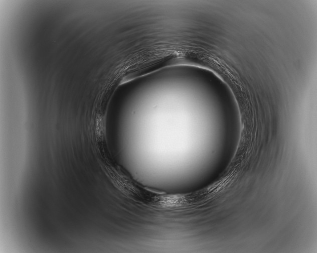 X0000096990096200802081436