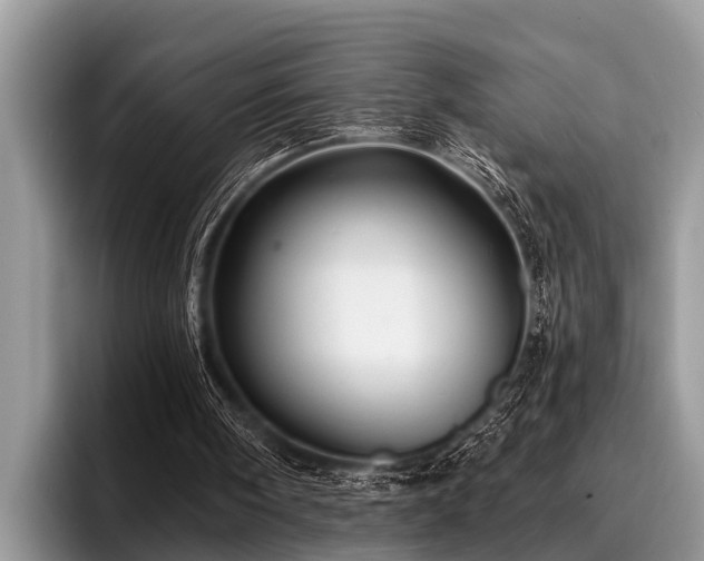 X0000096990098200802081436