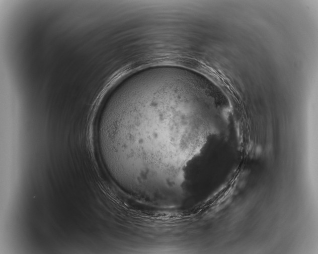 X0000096990099200802081436