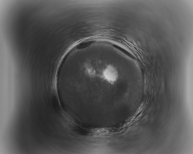 X0000096990100200802081436