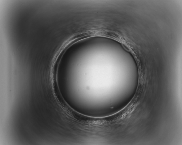 X0000096990103200802081436