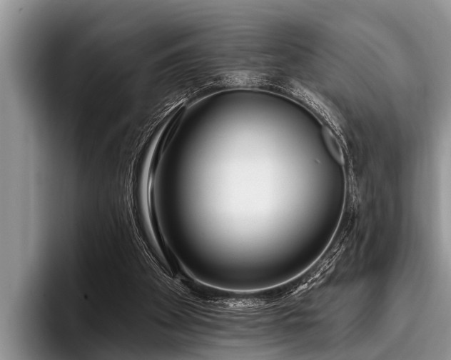 X0000096990105200802081436