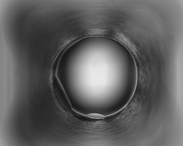 X0000096990107200802081436