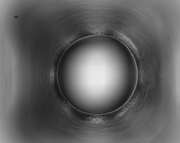 X0000096990113200802081436