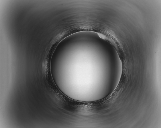 X0000096990116200802081436
