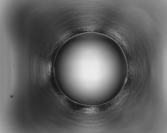 X0000096990118200802081436