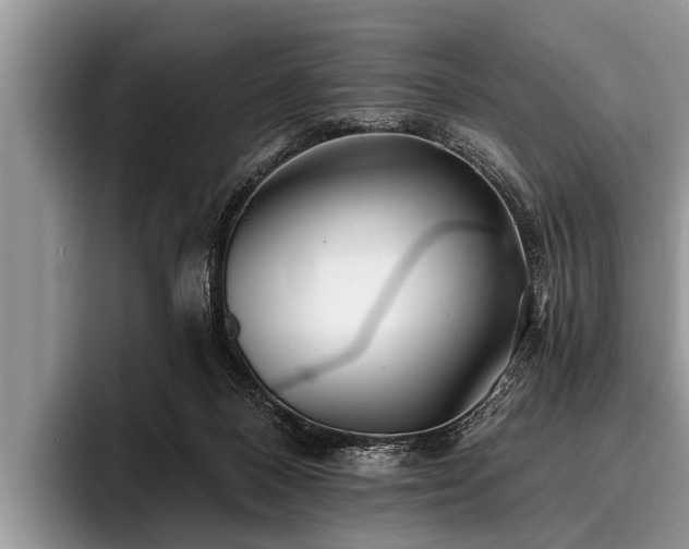 X0000096990120200802081436