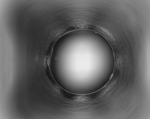 X0000096990121200802081436