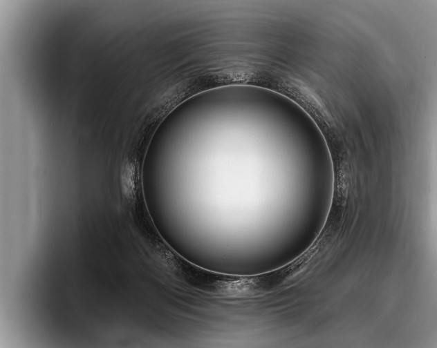 X0000096990122200802081436