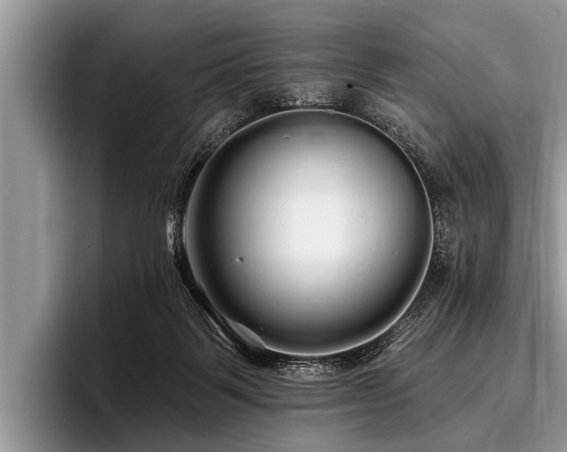 X0000096990123200802081436