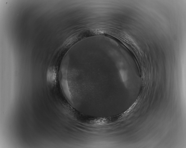 X0000096990124200802081436